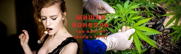 PSILOCYBIN Красноперекопск
